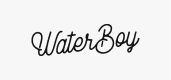 Water Boy logo – Partnered with Hazah for growth-focused design and marketing.